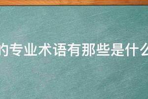 篮球训练专业术语口试