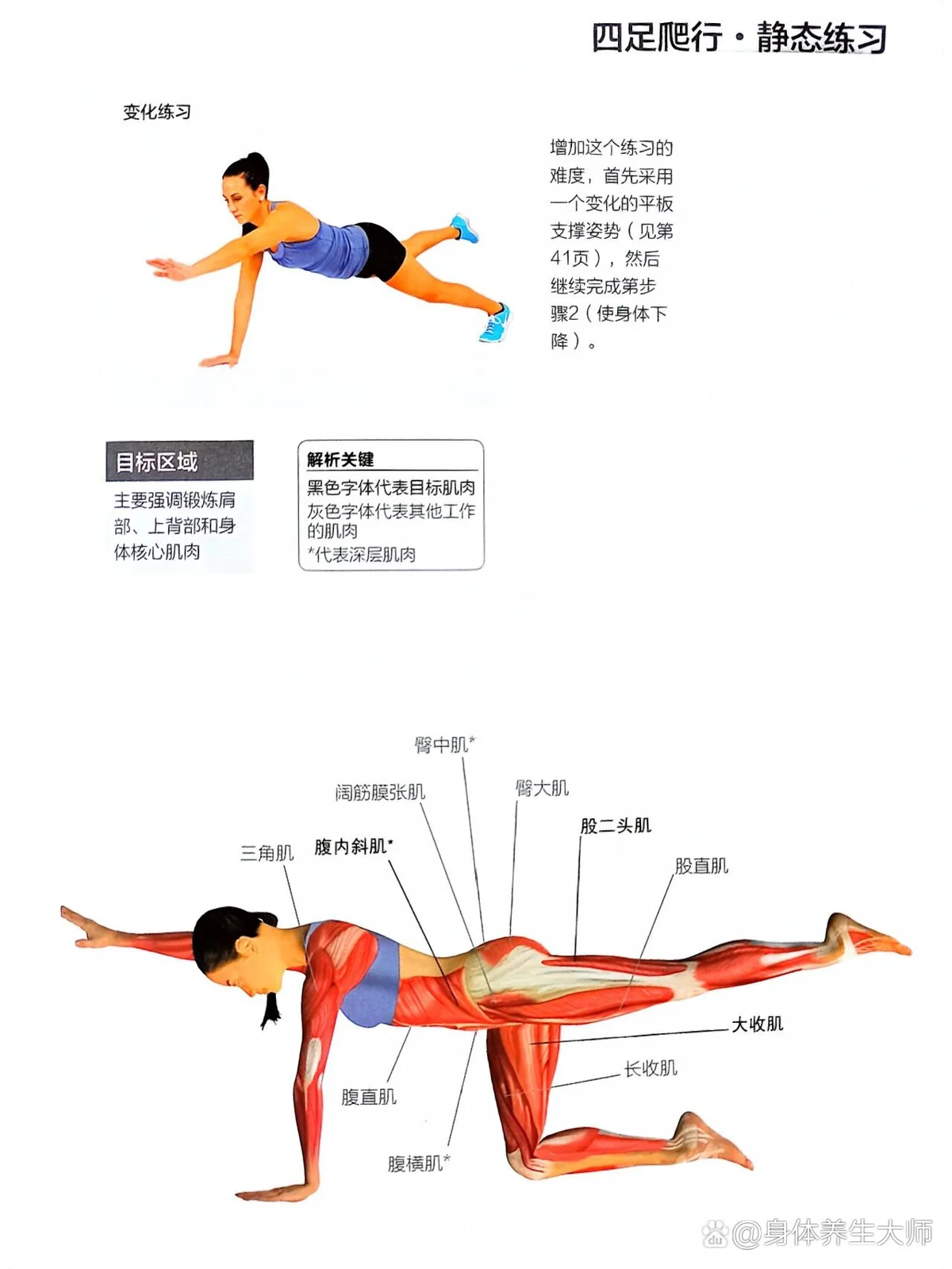 篮球训练师需要具备什么_0